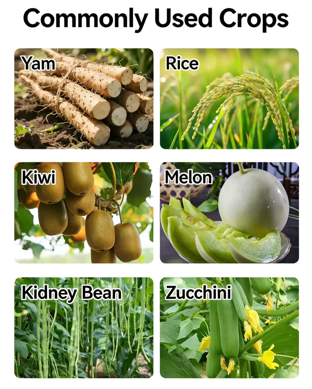 4b4771dd-2c60-46c2-b5e1-1e2a3224e8f2.jpg